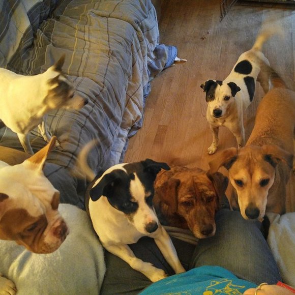 Welcome to VetFund closet - Picture 2 of 4